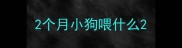 2个月小狗喂什么