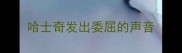 哈士奇发出委屈的声音