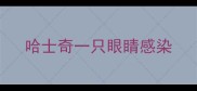 哈士奇一只眼睛感染