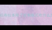 拉布拉多除了吃狗粮还吃什么