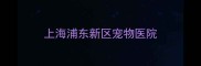 上海浦东新区宠物医院
