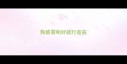 狗感冒刚好就打疫苗