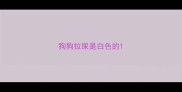 狗狗拉屎是白色的