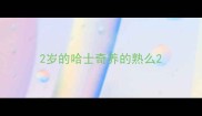 2岁的哈士奇养的熟么