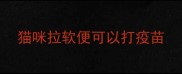 猫咪拉软便可以打疫苗