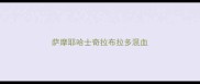 萨摩耶哈士奇拉布拉多混血