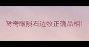 鸳鸯眼陨石边牧正确品相