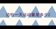 边牧一天运动量是多少