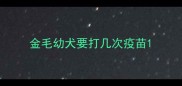 金毛幼犬要打几次疫苗