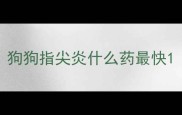 狗狗指尖炎什么药最快