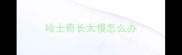哈士奇长太慢怎么办