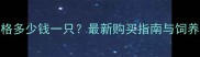 哈士奇价格多少钱一只最新购买指南与饲养注意事项