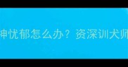 拉布拉多眼神忧郁怎么办资深训犬师5个改善方法