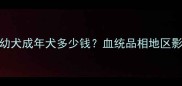 拉布拉多犬价格全幼犬成年犬多少钱血统品相地区影响价格的关键因素