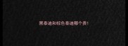 黑泰迪和棕色泰迪哪个贵