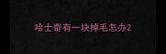 哈士奇有一块掉毛怎办