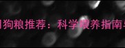 哈士奇幼犬专用狗粮推荐科学喂养指南与选购避坑手册