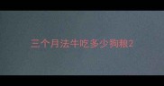三个月法牛吃多少狗粮