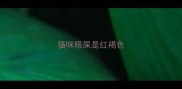 猫咪眼屎是红褐色