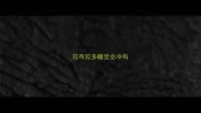 拉布拉多睡觉会冷吗