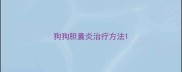 狗狗胆囊炎治疗方法