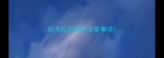 幼犬扎完疫苗注意事项