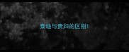 泰迪与贵妇的区别