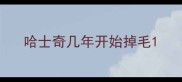 哈士奇几年开始掉毛