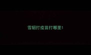 雪貂打疫苗打哪里