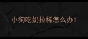 小狗吃奶拉稀怎么办