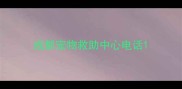 成都宠物救助中心电话