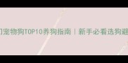 最热门宠物狗TOP10养狗指南新手必看选狗避坑攻略
