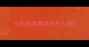 小狗流黄鼻涕吃什么药