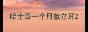 哈士奇一个月就立耳