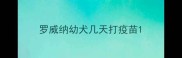 罗威纳幼犬几天打疫苗