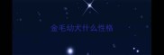 金毛幼犬什么性格