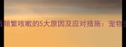 哈士奇喝水后频繁咳嗽的5大原因及应对措施宠物主人必读指南