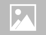常州宠物店推荐8家优质店铺清单及避坑指南附地址服务对比