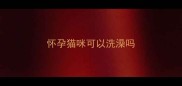 怀孕猫咪可以洗澡吗