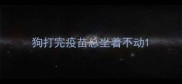 狗打完疫苗总坐着不动