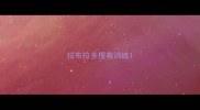 拉布拉多搜救训练