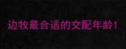 边牧最合适的交配年龄