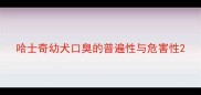 哈士奇幼犬口臭的普遍性与危害性