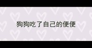 狗狗吃了自己的便便