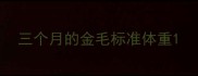 三个月的金毛标准体重