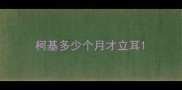 柯基多少个月才立耳