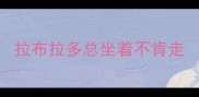 拉布拉多总坐着不肯走