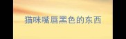 猫咪嘴唇黑色的东西