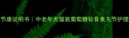 宠物关节康说明书中老年犬猫氨葡萄糖软骨素关节护理全指南