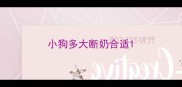 小狗多大断奶合适